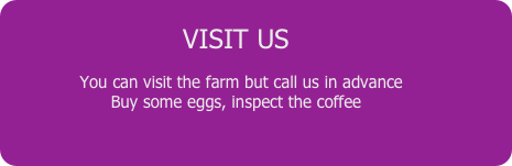 
VISIT US 

  You can visit the farm but call us in advance
Buy some eggs, inspect the coffee